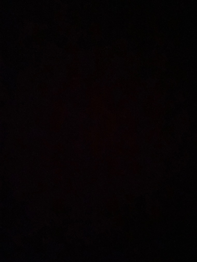 Daniella Smok cover image