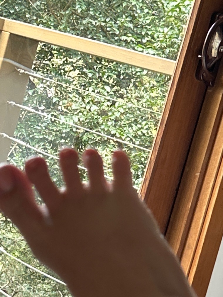 Daniella banner image