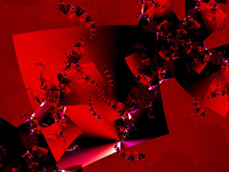 Danielle.beine cover image
