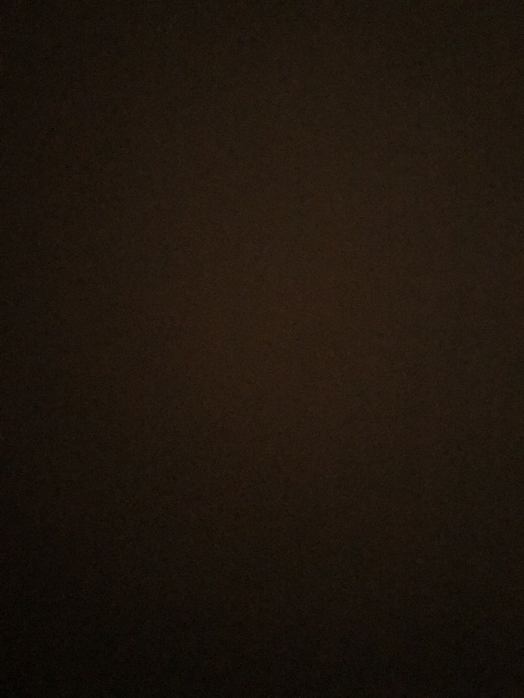 Danielle banner image