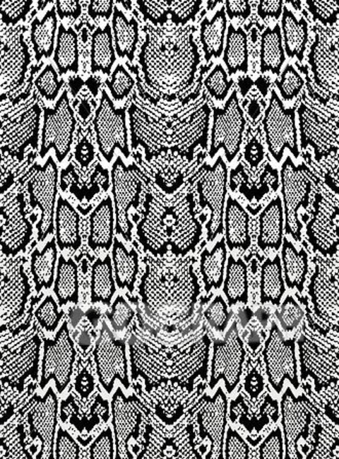 Zeak Daniels cover image