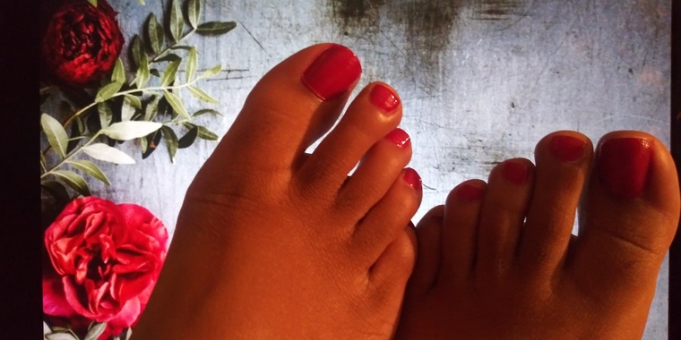 Dani H. cover image