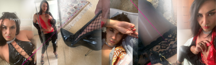 Dani π³οΈββ§οΈ banner image