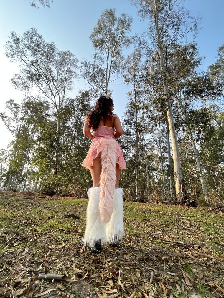 Danikit Fox cover image