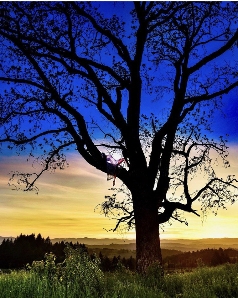 Dani cover image