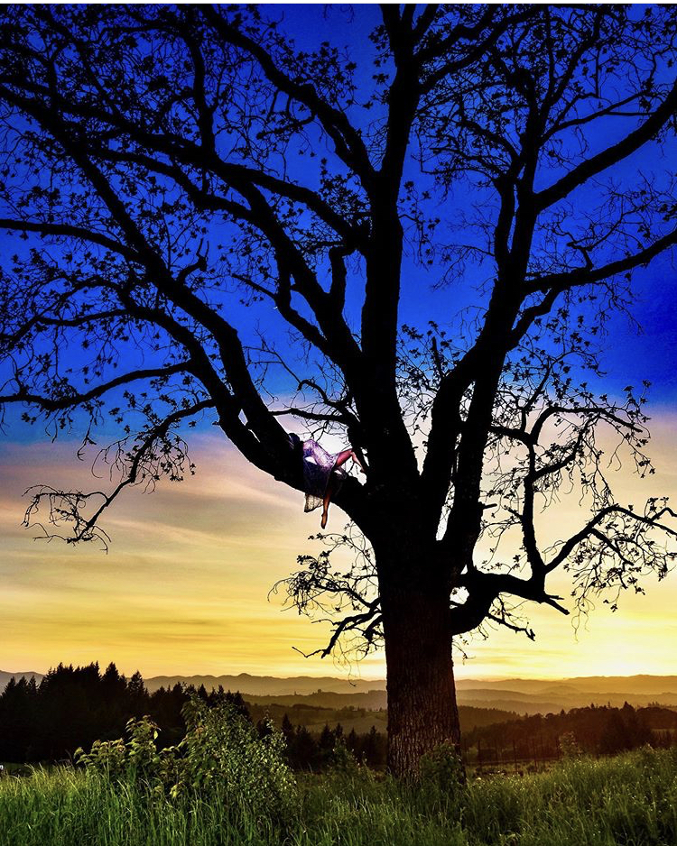 Dani banner image