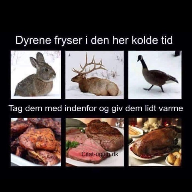 DanishCock banner image