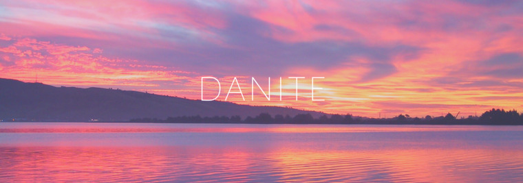 Dani cover image