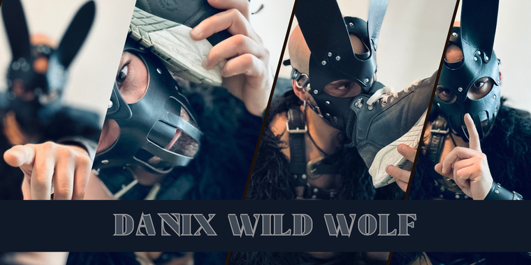 danixwildwolf banner image