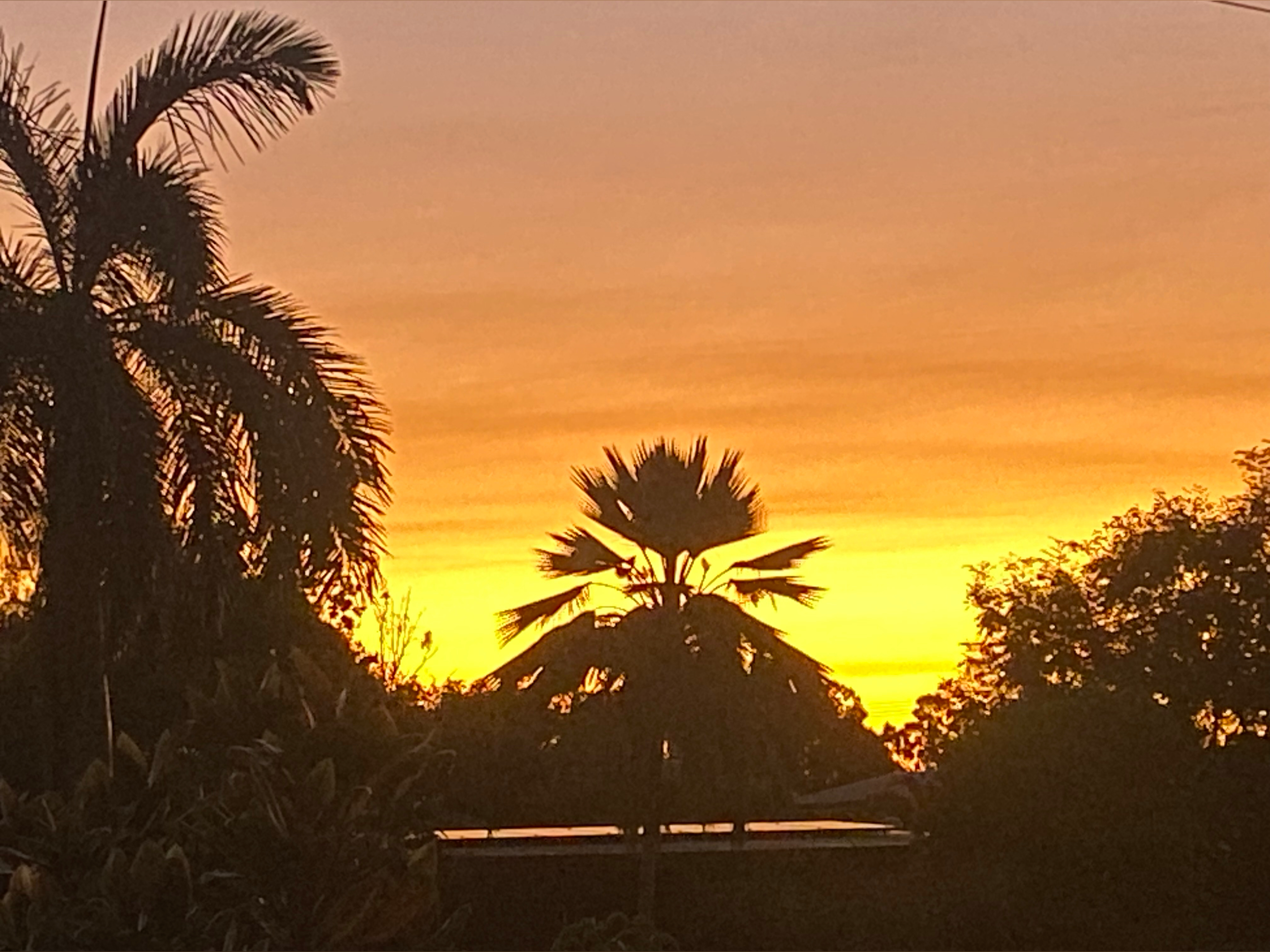 Danjb banner image