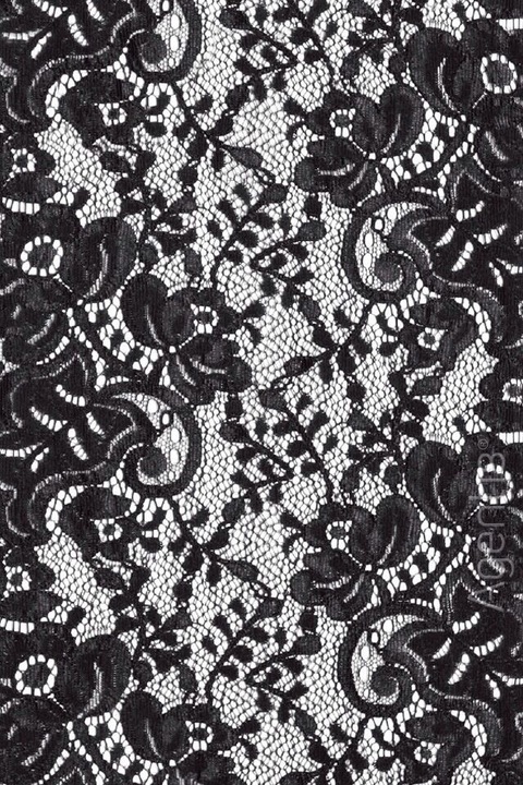 Danlnickel cover image