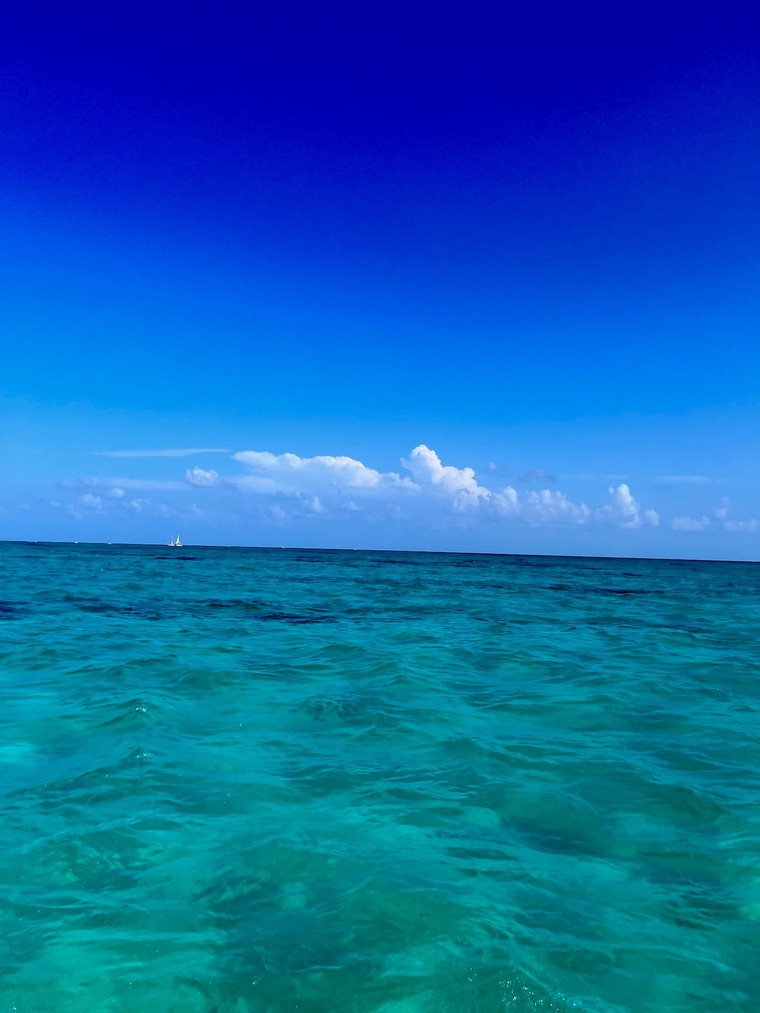Dan Loch cover image