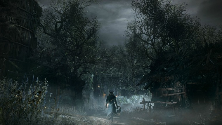 Dann banner image