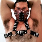 Danny Bear 🐻 avatar