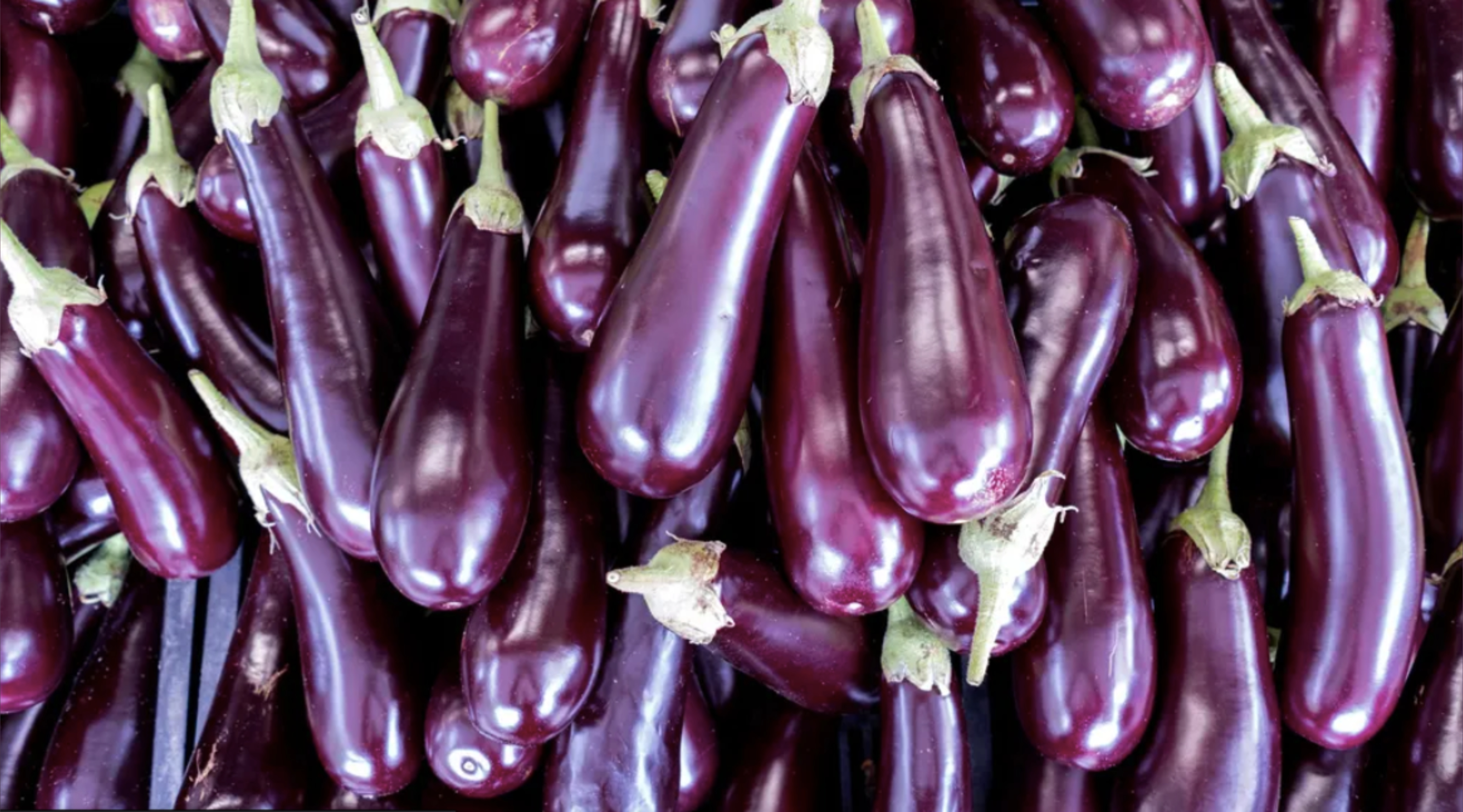 DannyBoyXL banner image