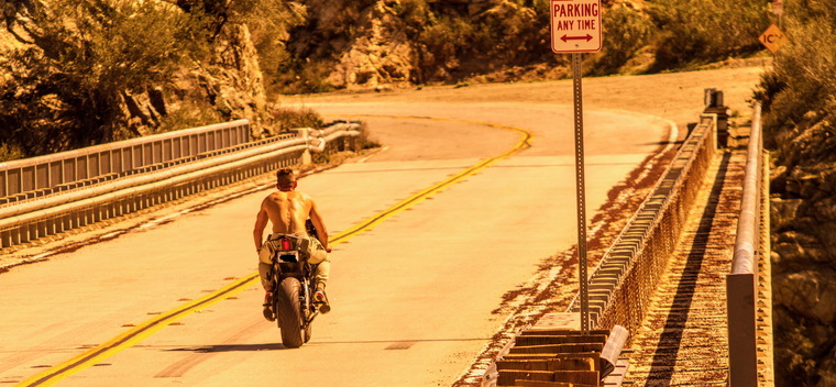 Dante Colle banner image
