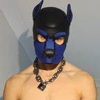 Dan the Hound avatar