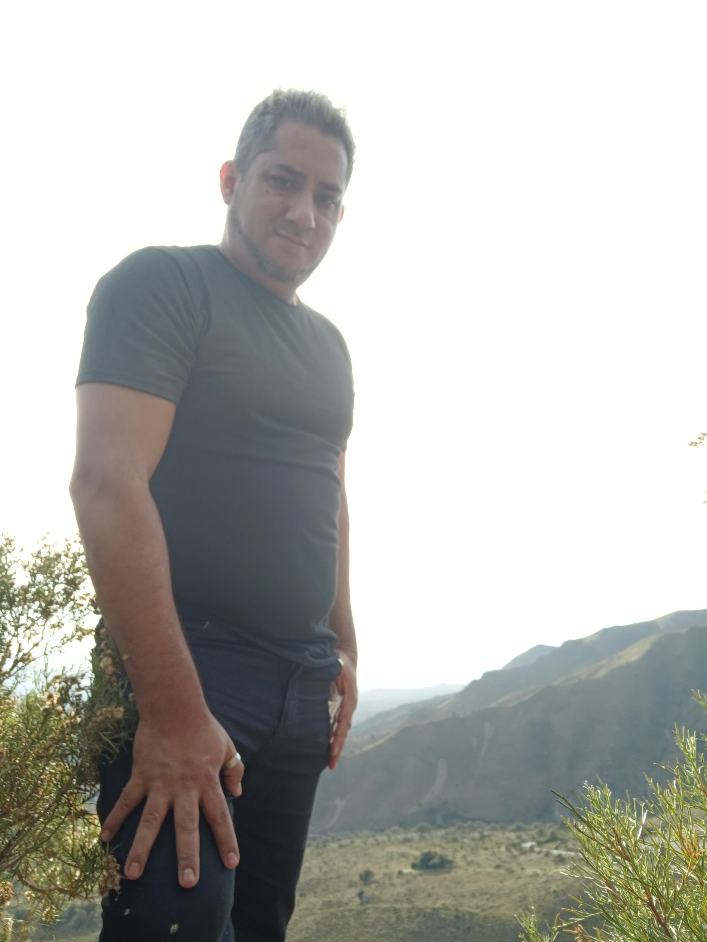 Dany The Swinger 73 banner image