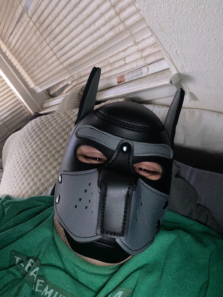 DaddyDarc cover image