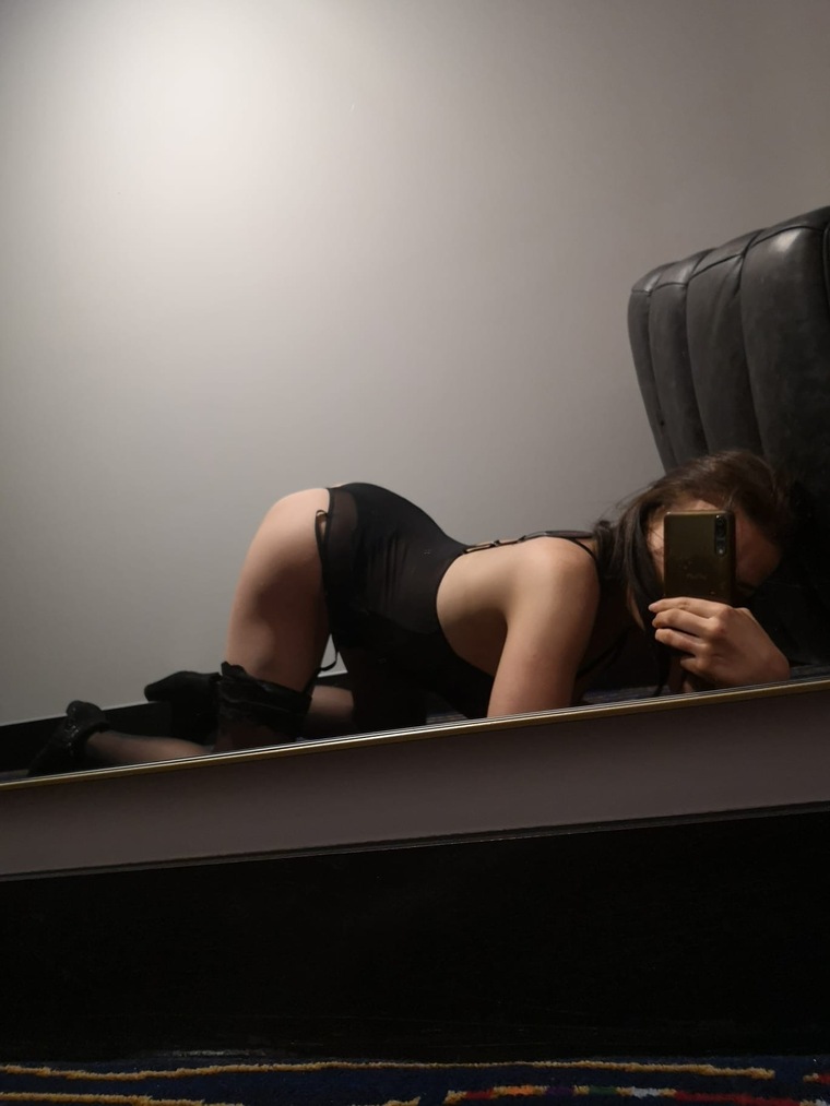 Darcy_fox1 banner image