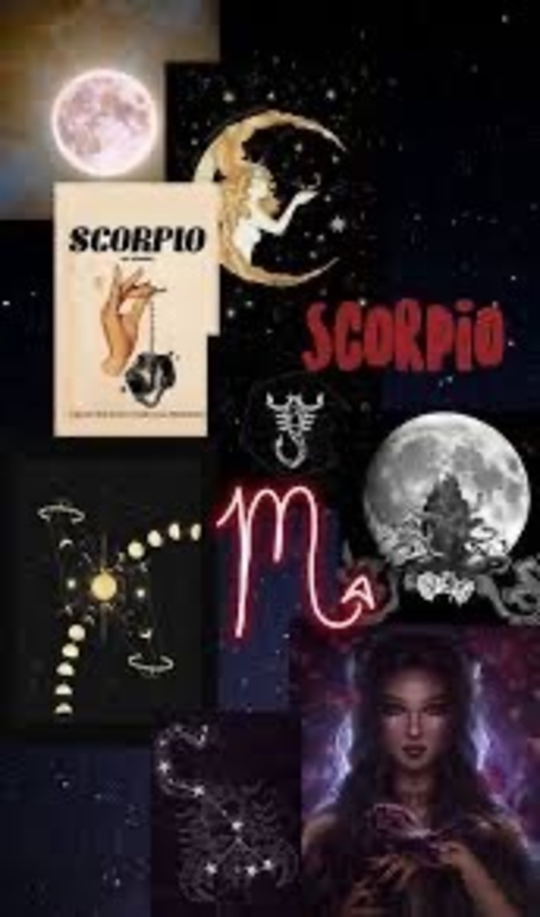 MamiiScorpKillaxx cover image