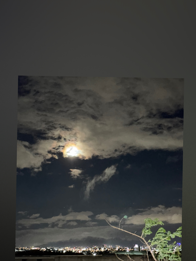 Dario banner image