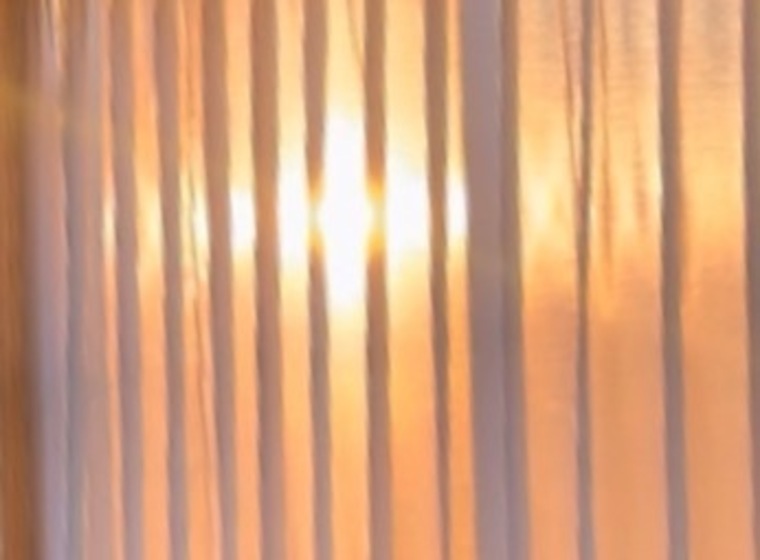 Dario Fuego cover image