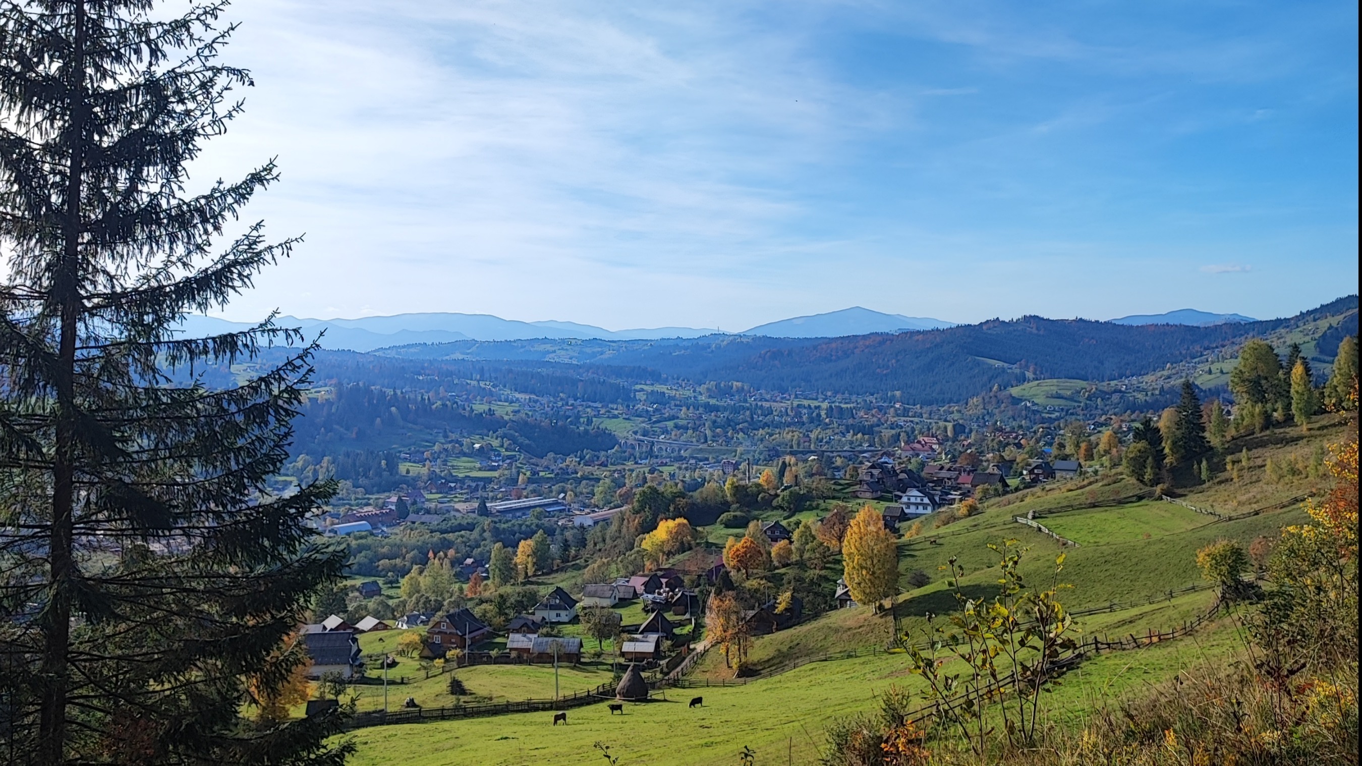 Dari banner image