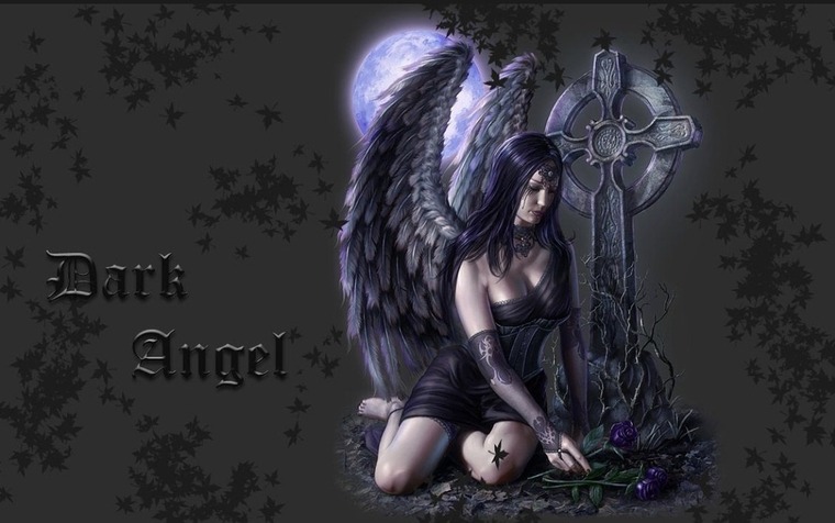 Dark-Angel83 cover image
