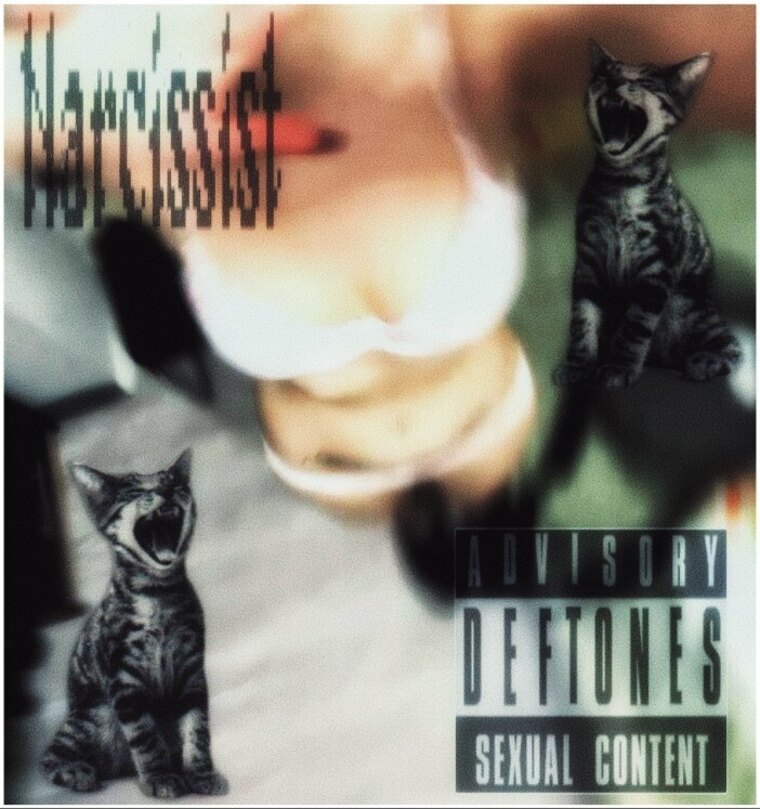 Darksi cover image