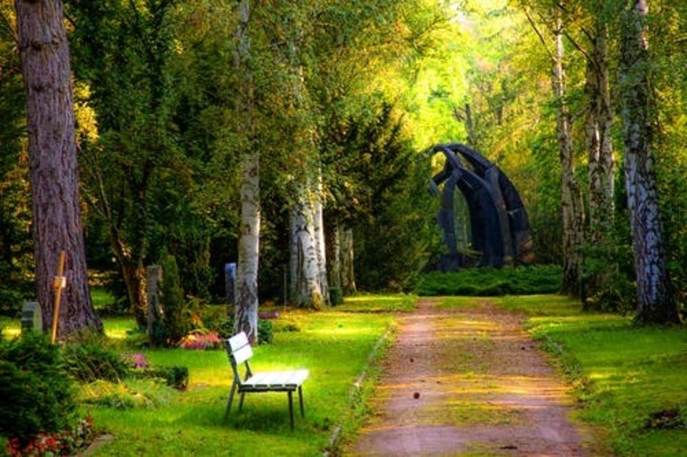 Desi banner image