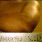 DARKBULLSEED avatar