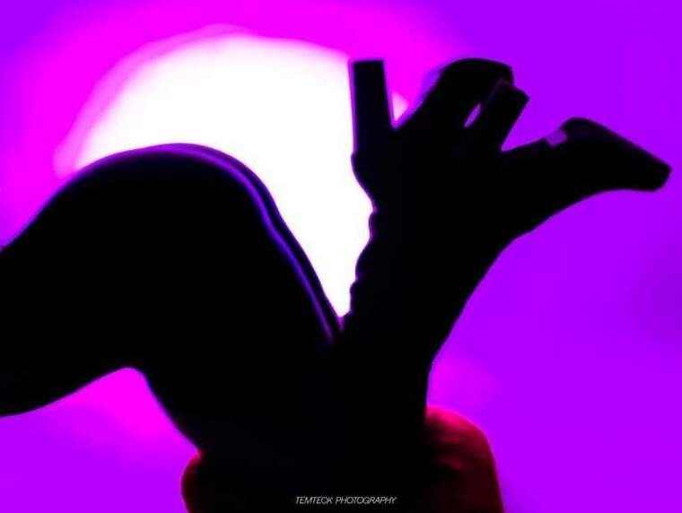 Dark Chocolate Delight cover image