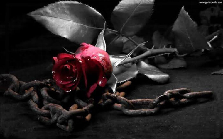 SeductressSirenJen banner image