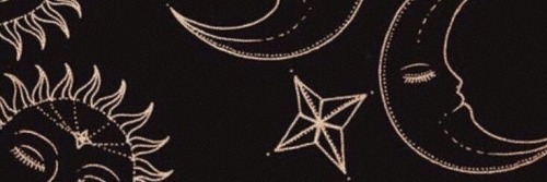 Rose banner image