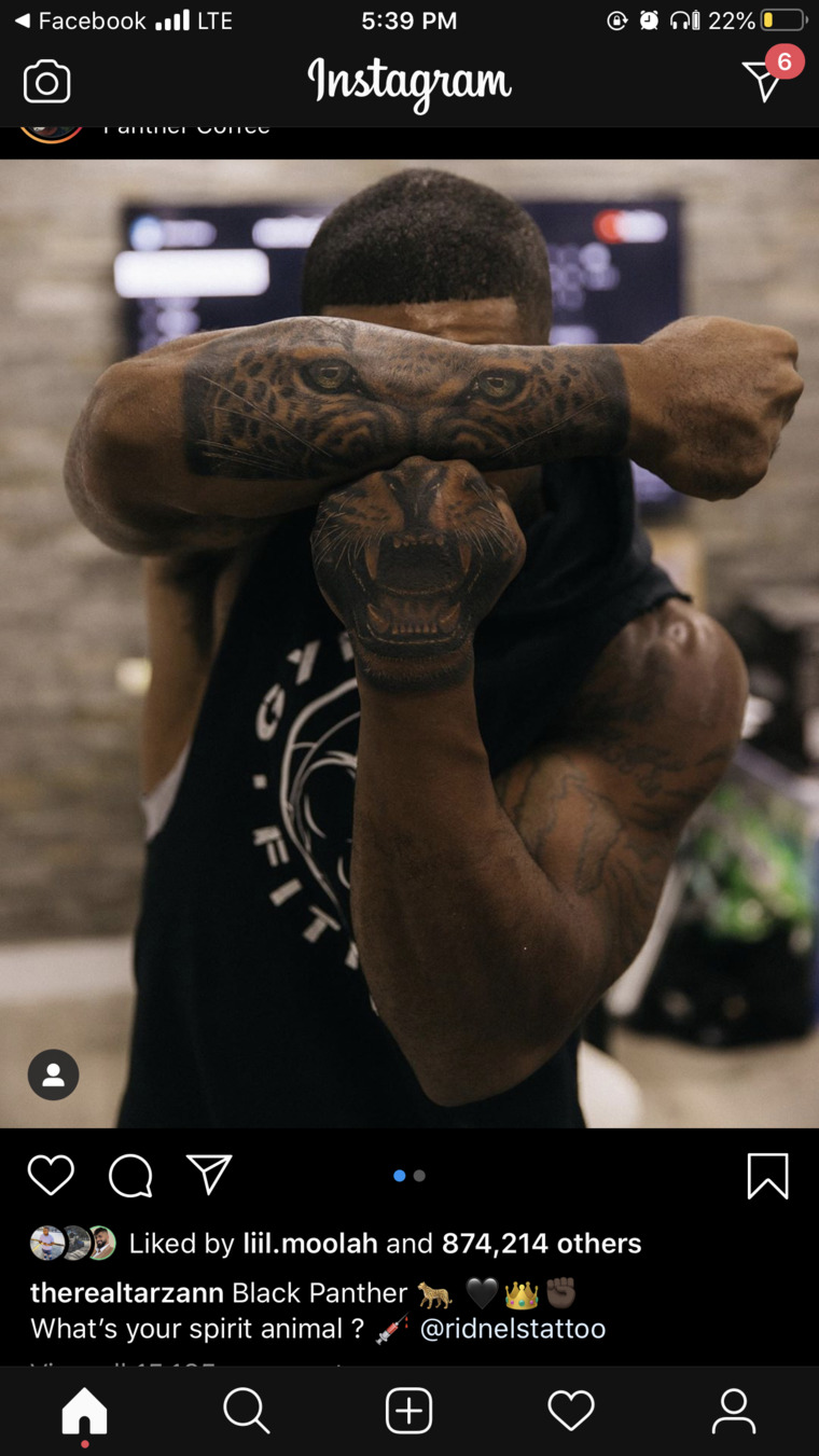 DarkskinGent cover image