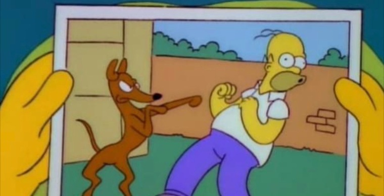 ππΎππππ banner image