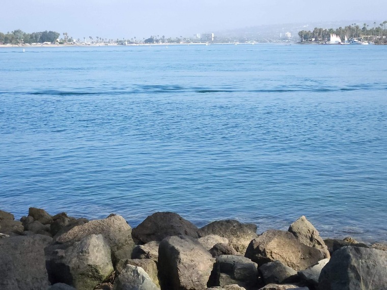 DarlinDaisie cover image