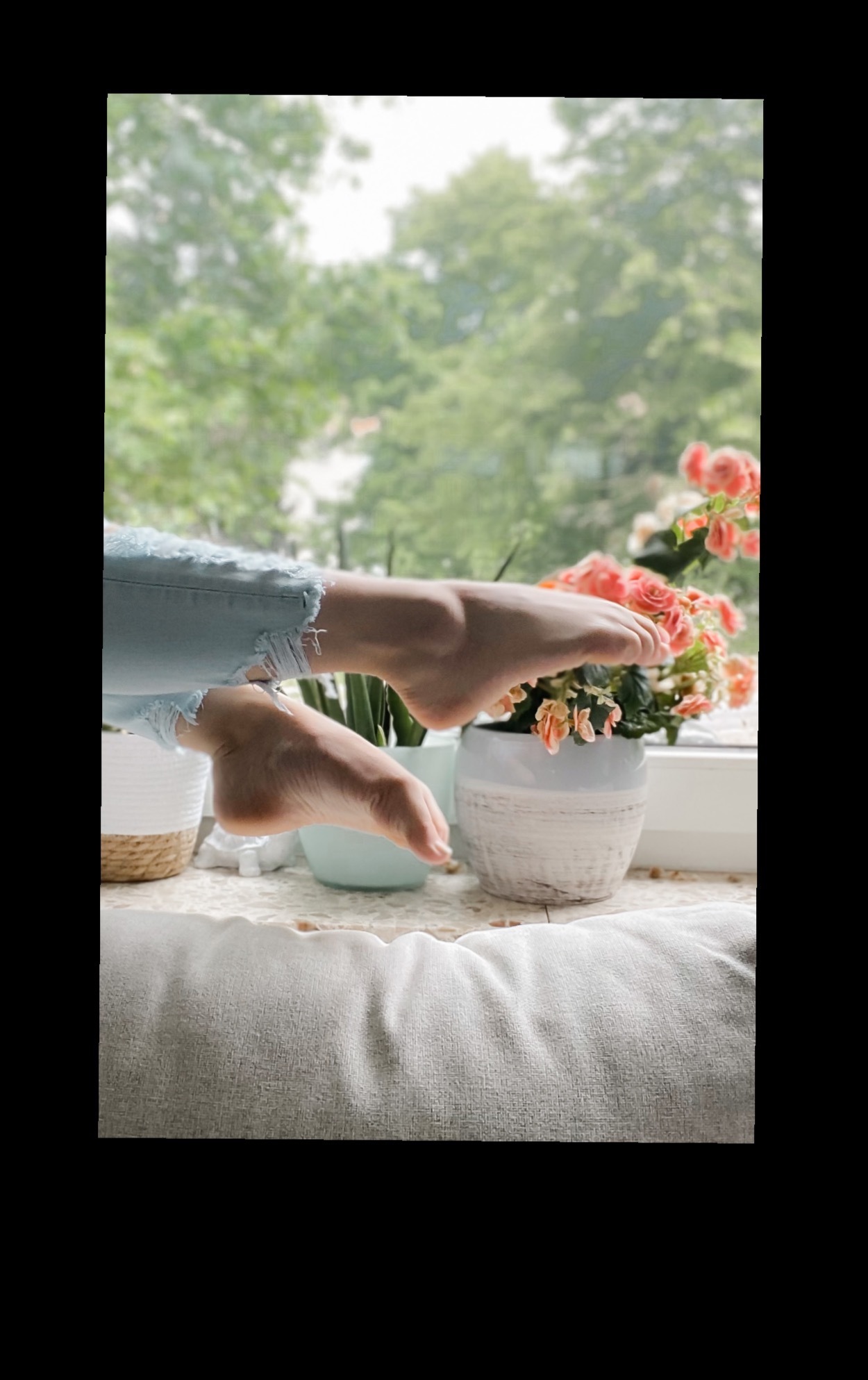 Darling Little Toes banner image