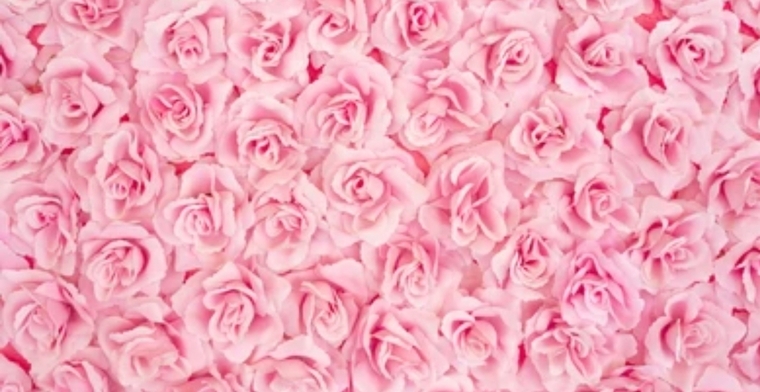 u131617227 cover image