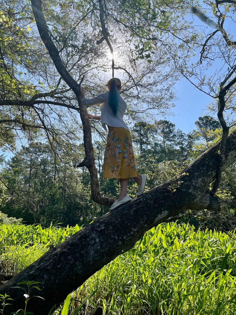 Shea cover image