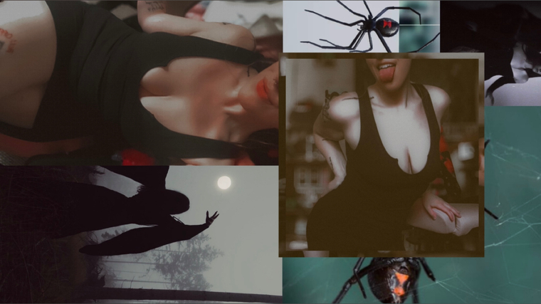 ๐๐ฅ๐จ๐ ๐๐จ๐ฌ๐ฌ banner image