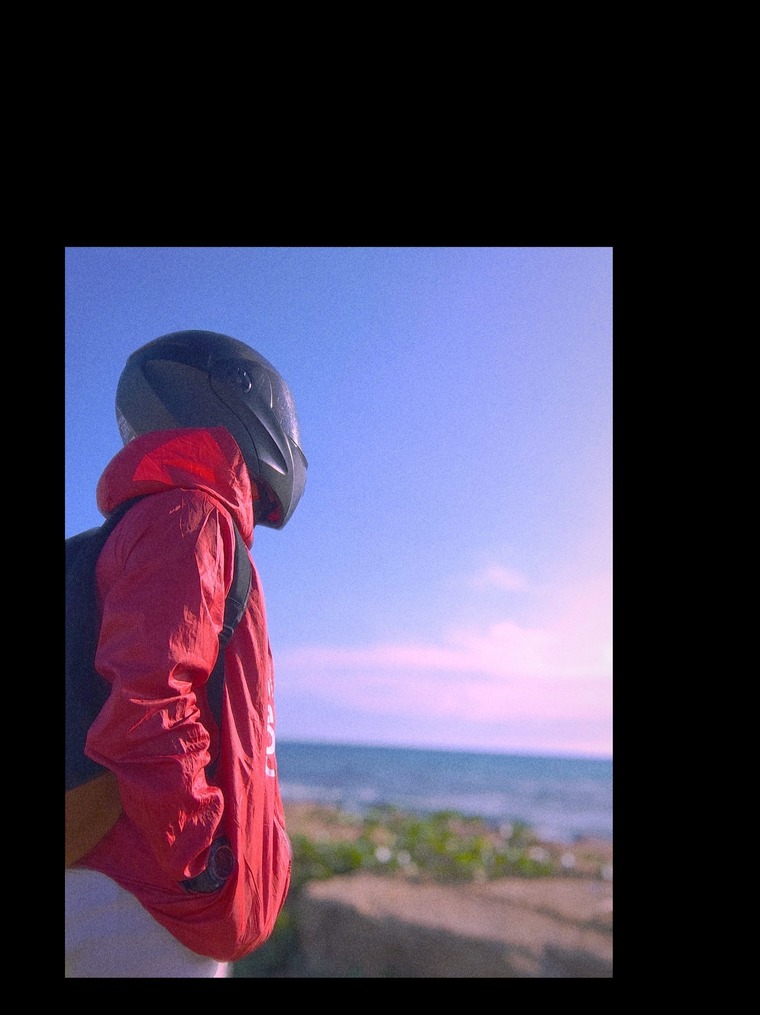 DARWIN DT cover image