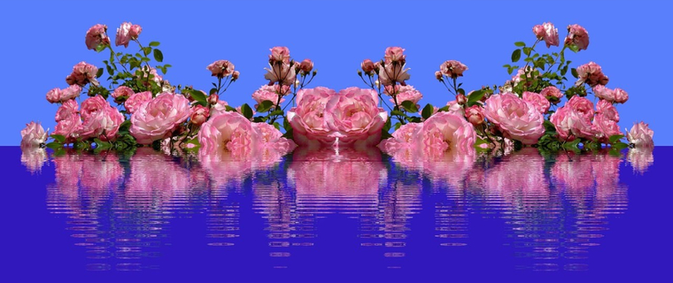 DauntlessDamsel banner image