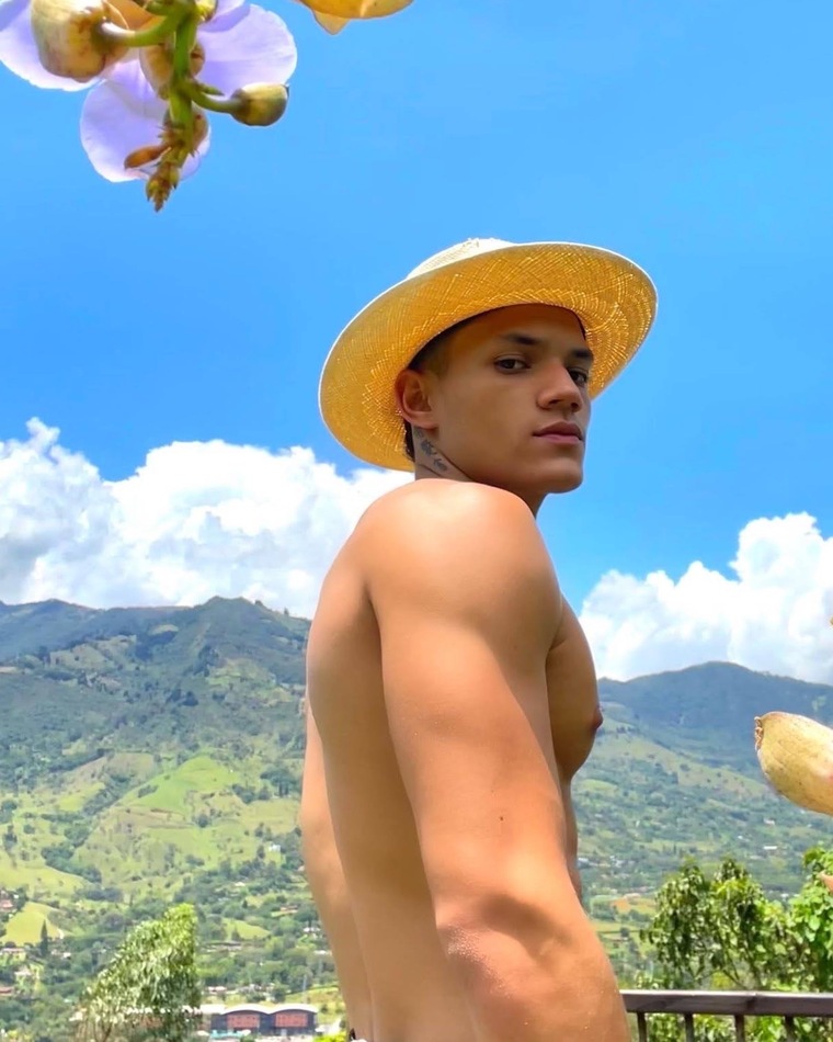 David Lozano ✨ cover image