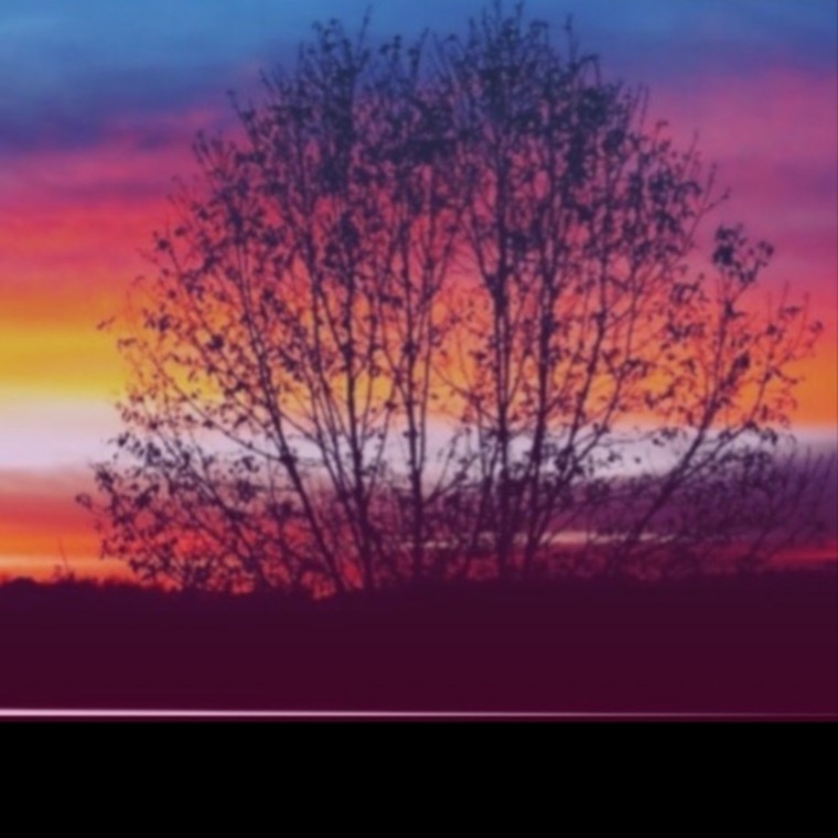 Davey Wavey FREE banner image
