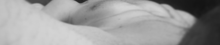 Davy banner image