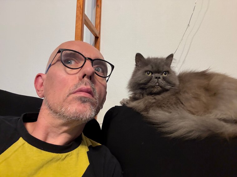 Ten le chat de Davy Mourier banner image