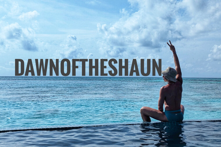 dawnoftheshaun banner image