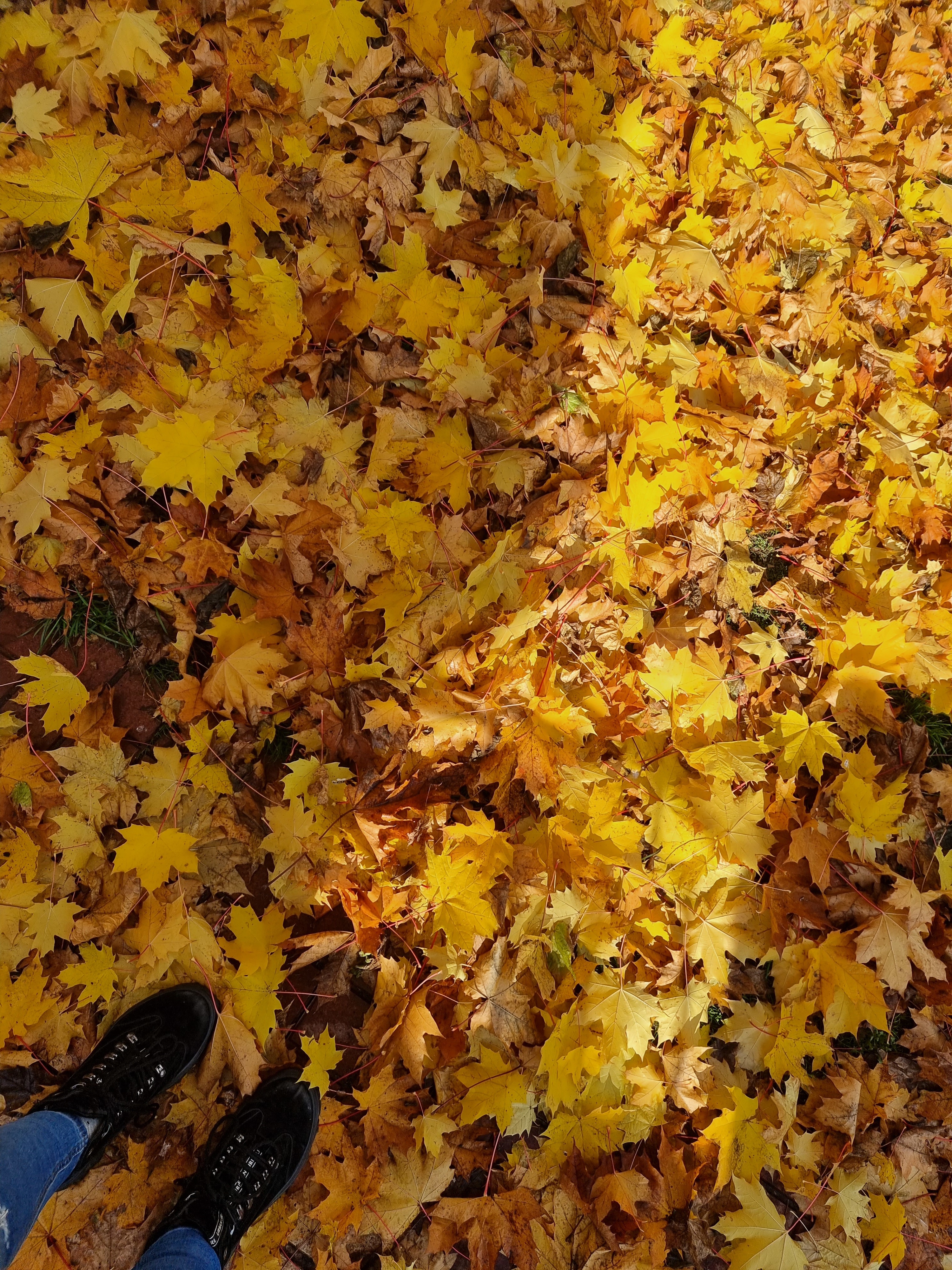 DayKa banner image